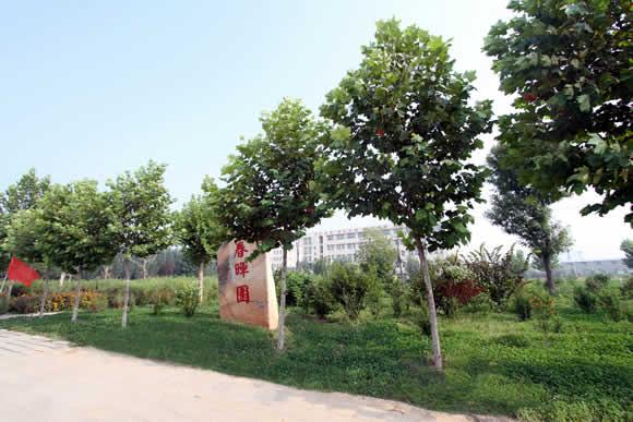 衡水科技工程學(xué)校怎么樣？是國(guó)辦院校嗎？就業(yè)有保障嗎？