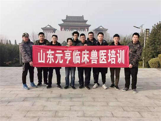 想當(dāng)獸醫(yī)要學(xué)什么？   