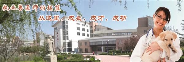 山東現(xiàn)代畜牧獸醫(yī)專修學校