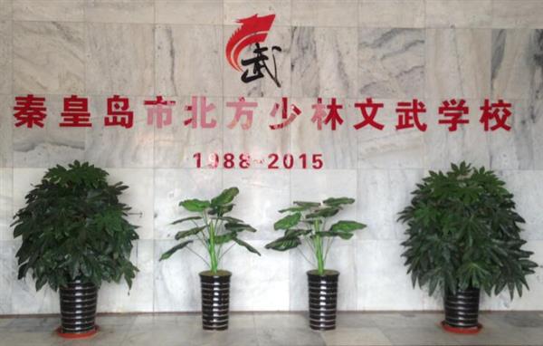 秦皇島北方少林文武學校就業(yè)如何？這答案你放心！