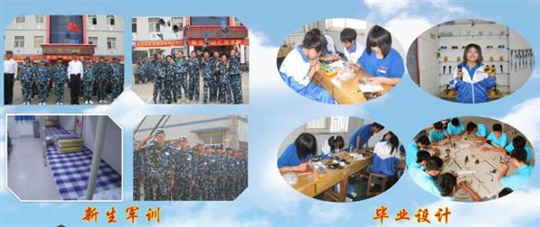 青島海信中心聯(lián)校收費標(biāo)準(zhǔn)是什么？