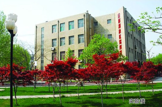 淄博市工業(yè)學(xué)校開設(shè)哪些計算機課程？