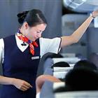 航空服務(wù)（票務(wù)、安檢方向）、航空乘務(wù)定向委培