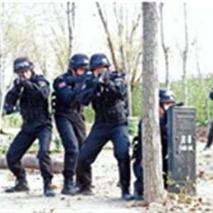 法律事務(wù)（特警方向）